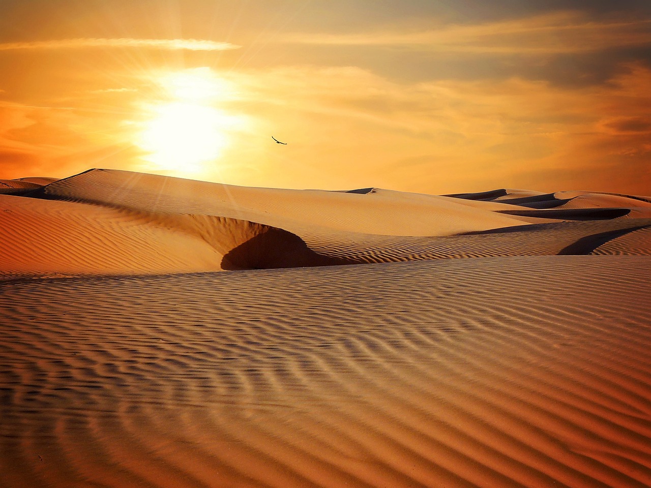 沙海日出 · Dunes at Sunrise