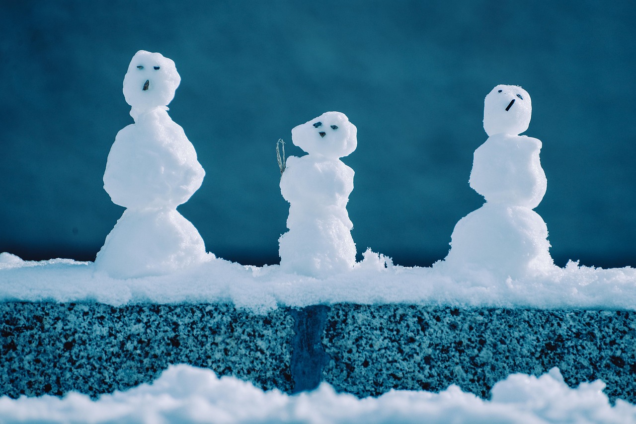 冰雕 · Ice Sculpture