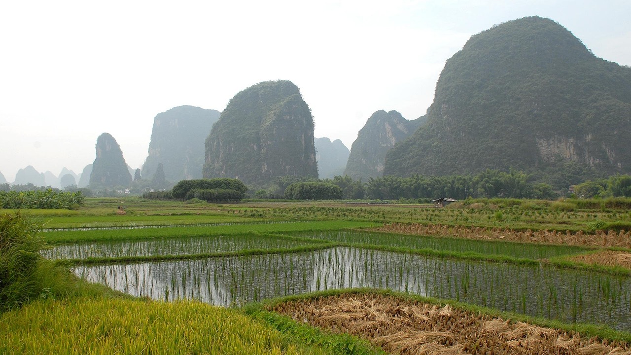 阳朔田园 · Yangshuo Countryside