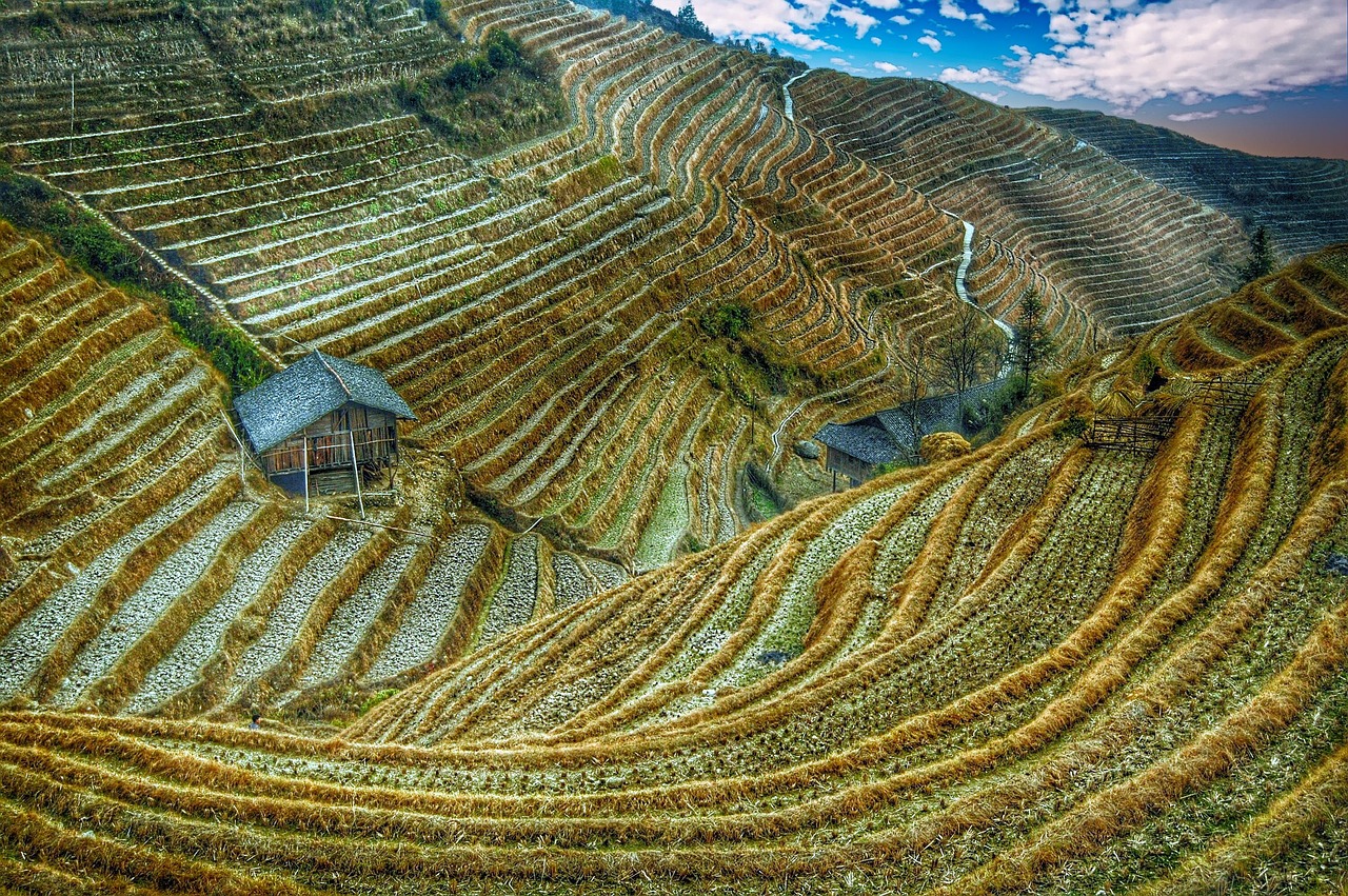 龙脊梯田 · Longji Rice Terraces