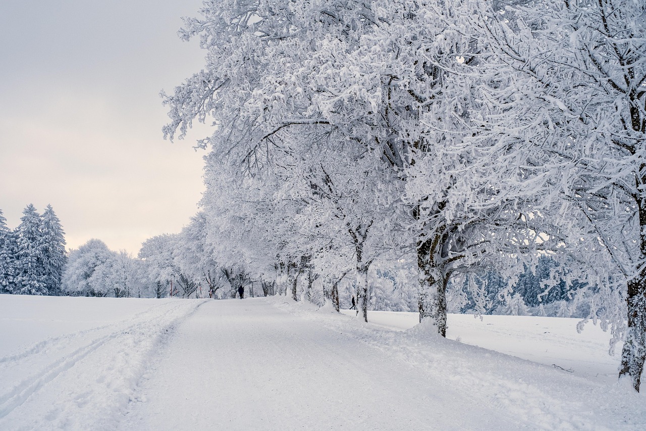 雾凇雪挂